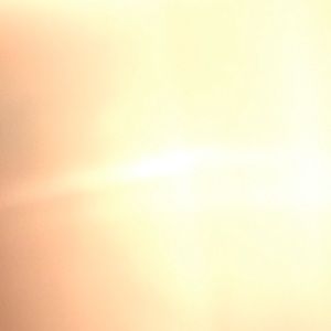 Meet your Posher, Ava